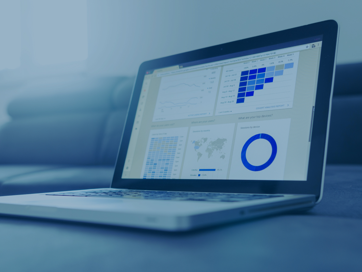 What is data auditing