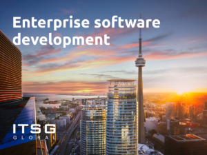 Enterprise software development